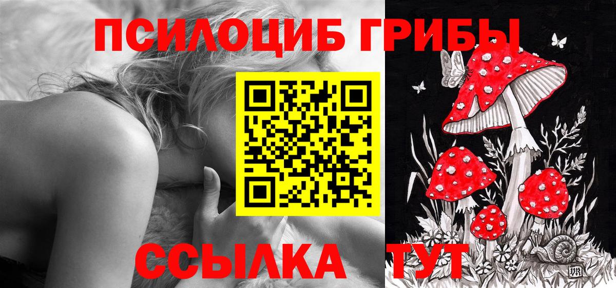 Псилоцибиновые грибы мицелий  Вход с VPN  Новочеркасск 