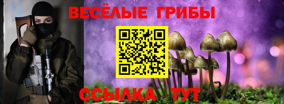 Псилоцибиновые грибы Cubensis Новочеркасск